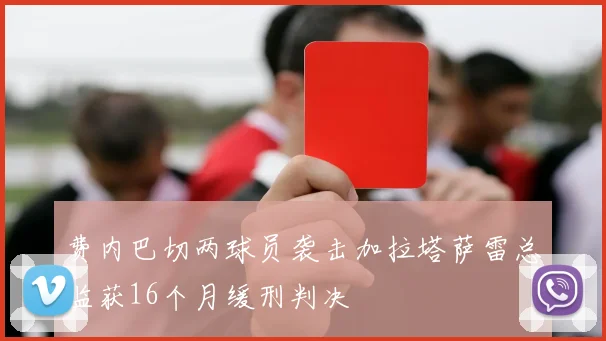 费内巴切两球员袭击加拉塔萨雷总监获16个月缓刑判决