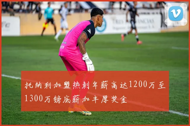 托纳利加盟热刺年薪高达1200万至1300万镑底薪加丰厚奖金